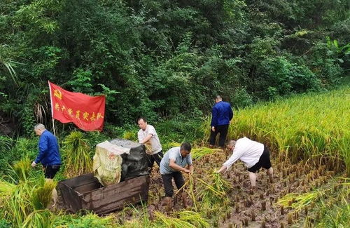 爸爸加班忙送电,委屈女儿这样写作业