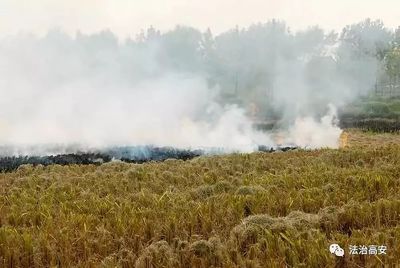 乡镇到处在抓!抓到就罚2000元,八景人小心了!