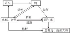 农作物秸秆在生产实践中具有多种用途.在特定微生物作用下,秸秆中的糖类可被分解为葡萄糖,经发酵后形成酒精,再加工即可制成燃料酒精,减少了人类生活对石油资源的依赖;还可用_作业帮