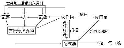 三大营养物质代谢的相同点 (1)来源相同 三大营养物质的来源都有三条途径:食物中消化吸收.其他物质转化.自身物质的分解. (2)都可以作为能源物质 三大营养物质在体内都